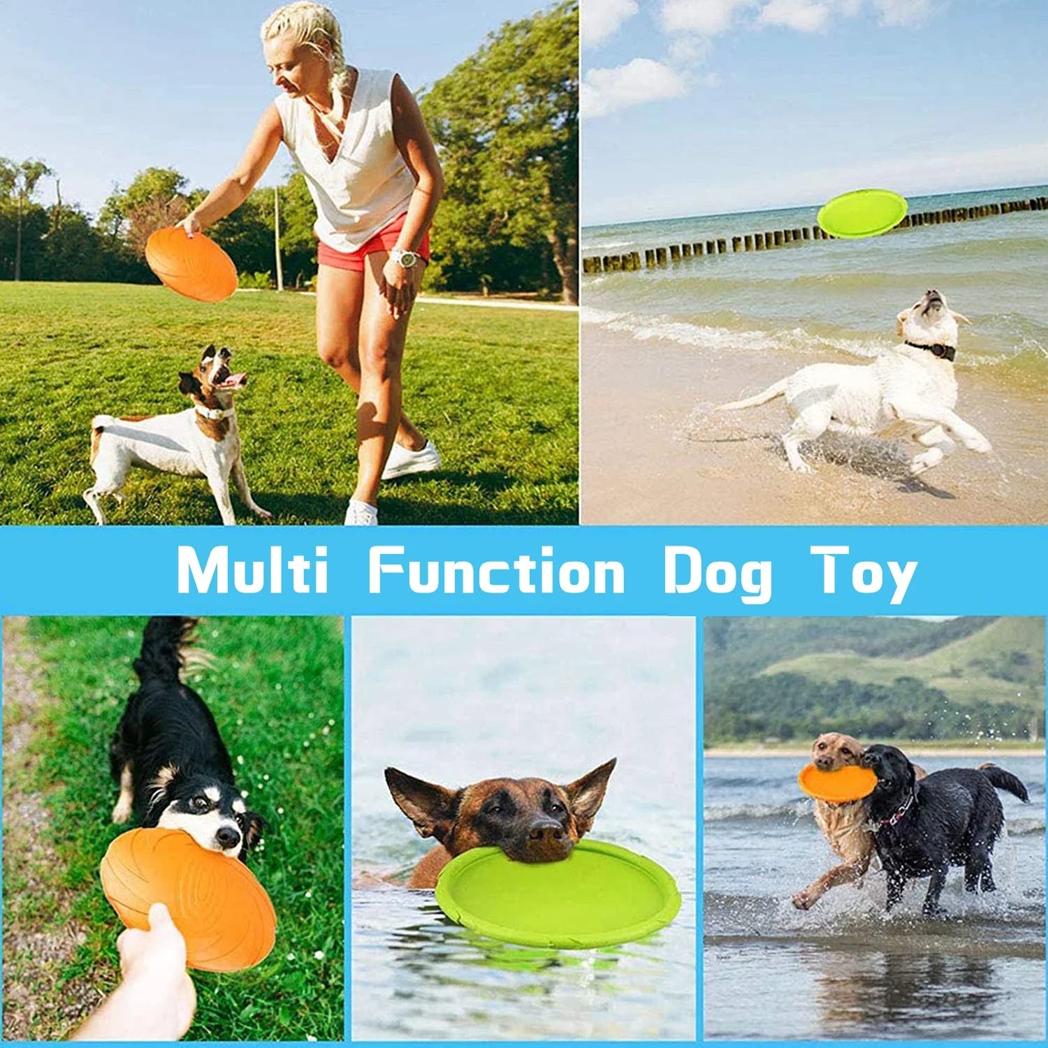 Fashion Dog Toy™Flying Discs