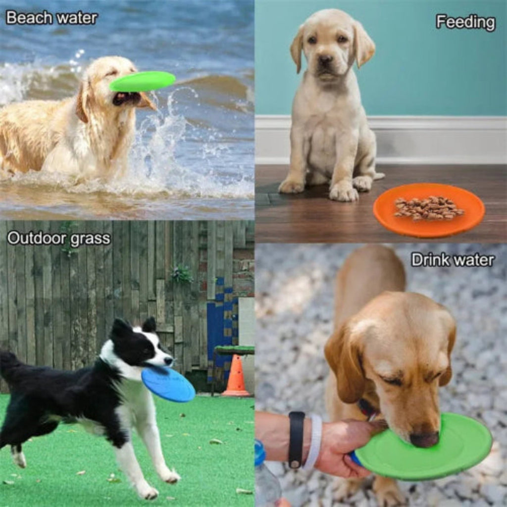 Fashion Dog Toy™Flying Discs