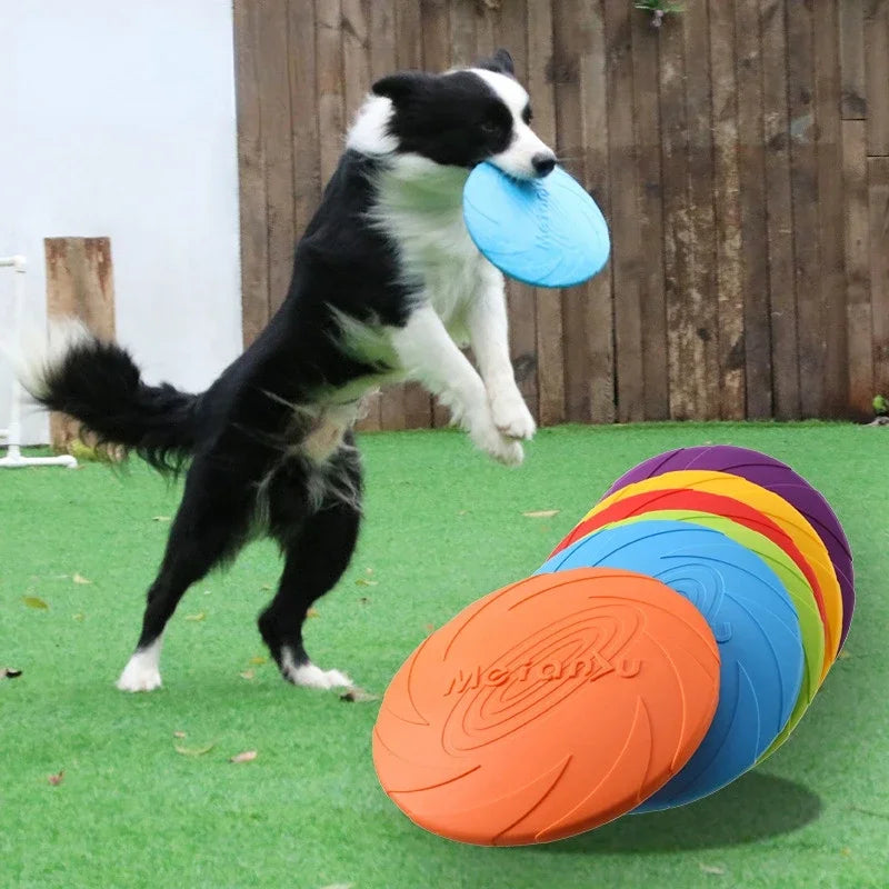 Fashion Dog Toy™Flying Discs